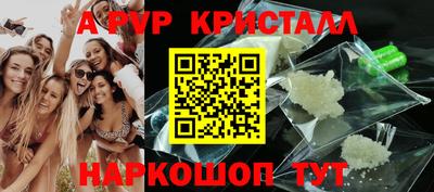 гашик Славгород