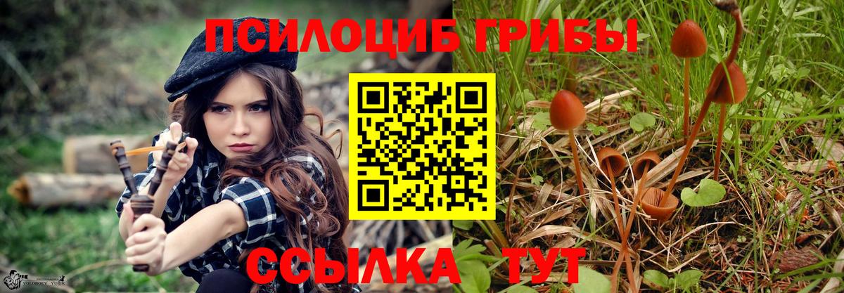 Галлюциногенные грибы MAGIC MUSHROOMS  цена   Нижний Новгород  Вход с VPN 