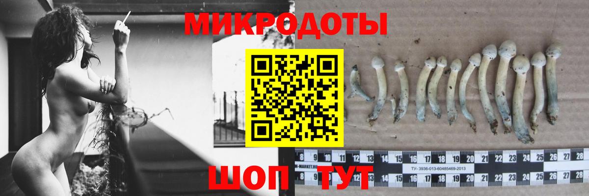 Галлюциногенные грибы мухоморы Нижний Новгород